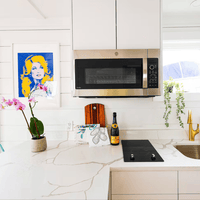Hank's 40' Luxury Houseboat - Your Floating Oasis